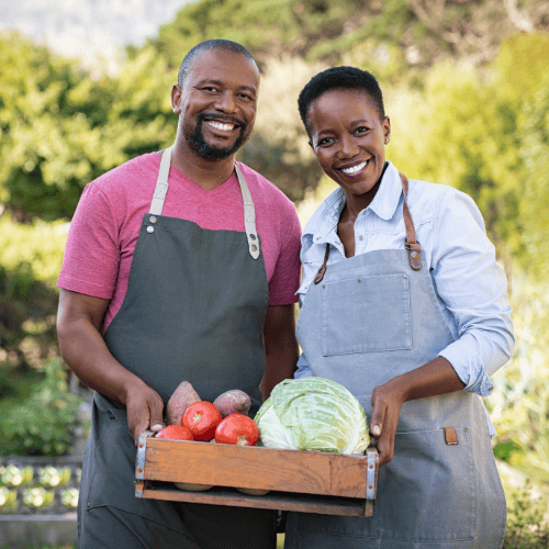 Entrepreneurs de la diaspora